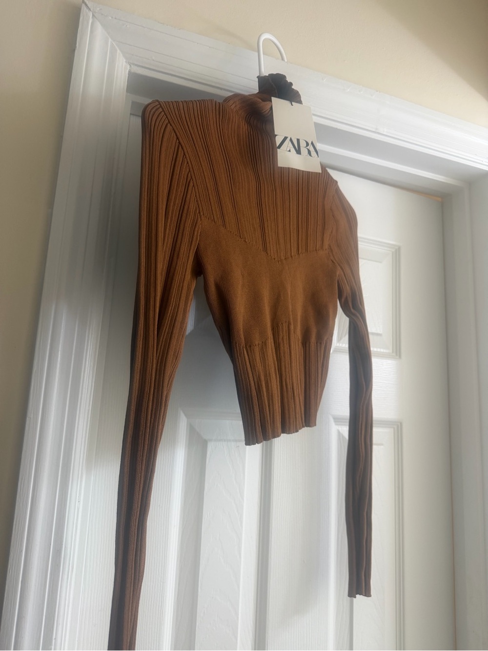 ZARA Ribbed Long-Sleeve Cropped Top in Rust